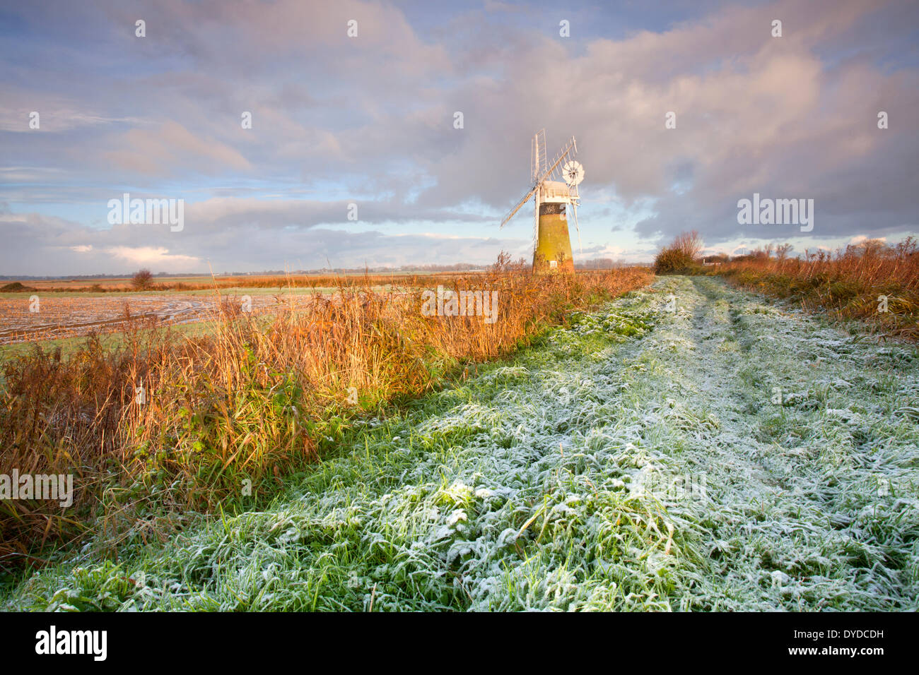 Moulin de Drainage St Benets sur un matin glacial sur les Norfolk Broads. Banque D'Images