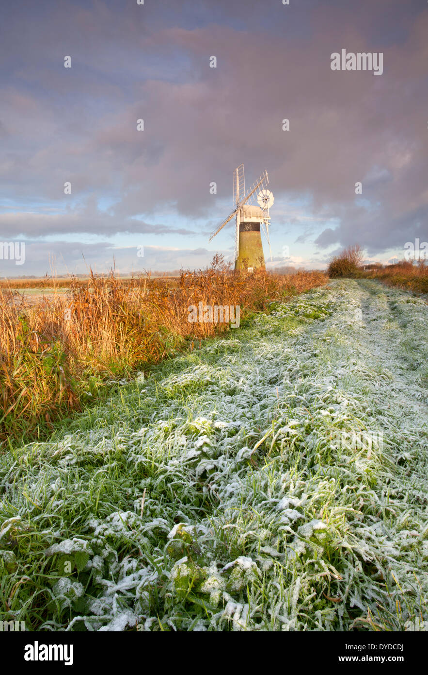 Moulin de Drainage St Benets sur un matin glacial sur les Norfolk Broads. Banque D'Images