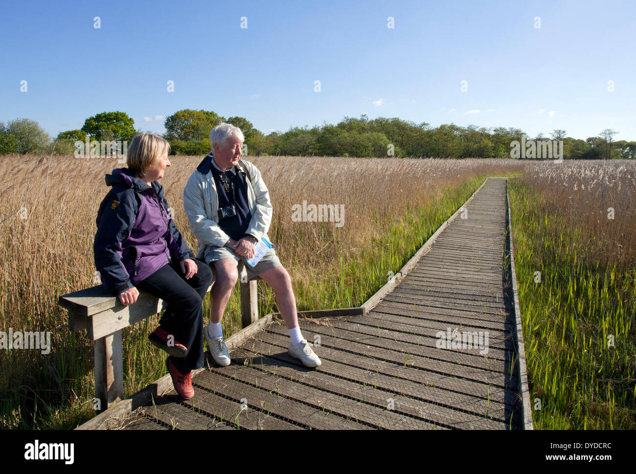 Un couple l'observation des oiseaux à une réserve naturelle sur les Norfolk Broads. Banque D'Images
