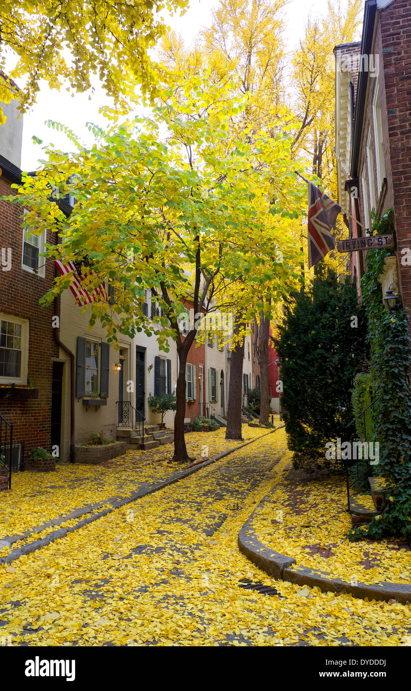 Une rue historique de Philadelphie couverts dans les feuilles d'automne. Banque D'Images