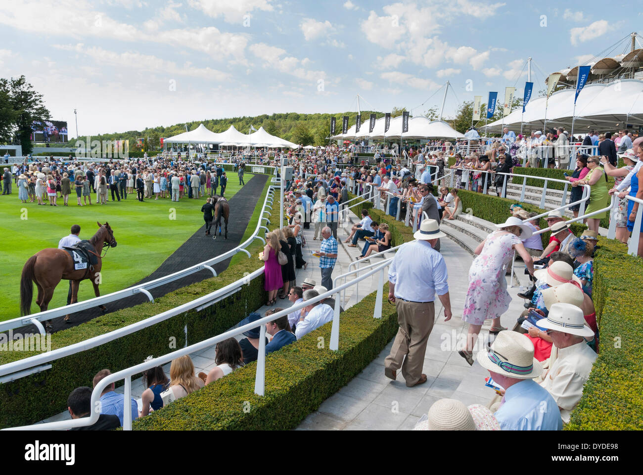 Racegoers à regarder les chevaux dans l'anneau de parade à Goodwood Hippodrome. Banque D'Images