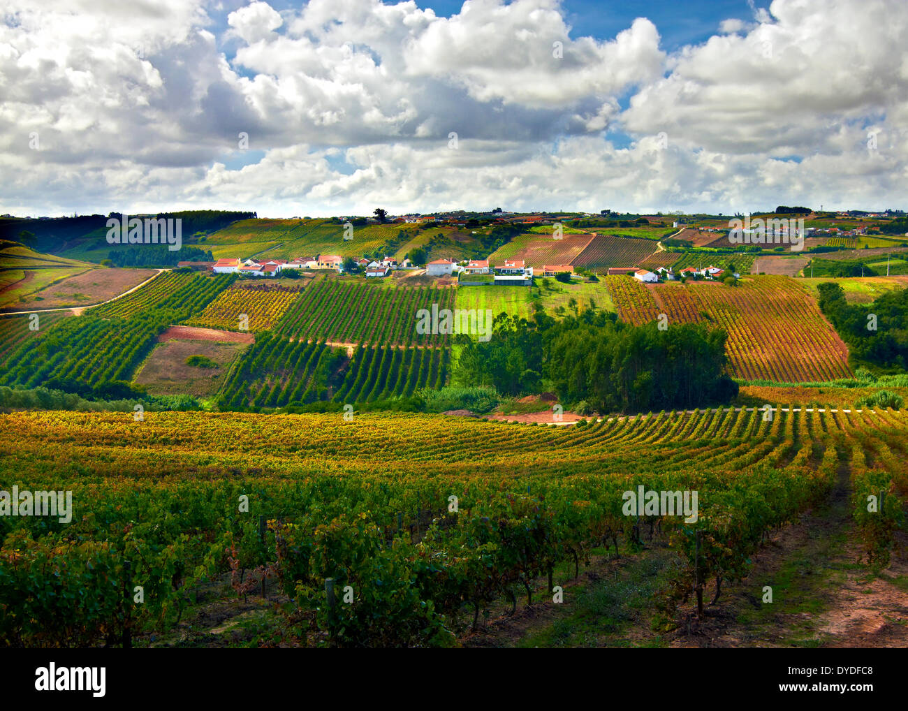 Une vue d'automne de terres agricoles vallonnées en milieu rural au Portugal. Banque D'Images