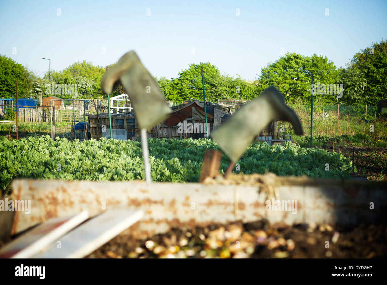 Le nord de Londres dans Carter Hatch Lane, dans le quartier londonien d'Enfield, Angleterre, Royaume-Uni. Banque D'Images