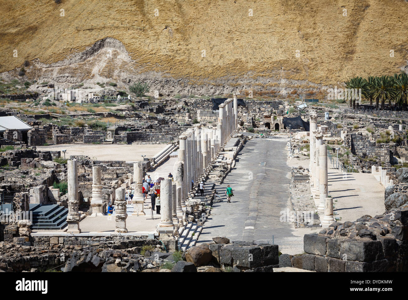 Ruines de l'Roman-Byzantine ville Scythopolis, tel le parc national de Beit Shean, Beit Shean, Israël. Banque D'Images