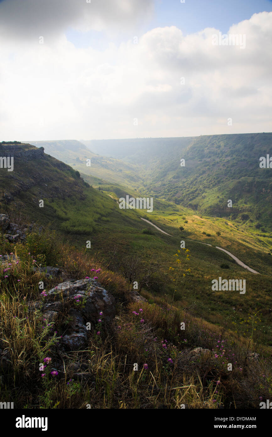 Gamla Nature Reserve, Hauteurs du Golan, Israël. Banque D'Images