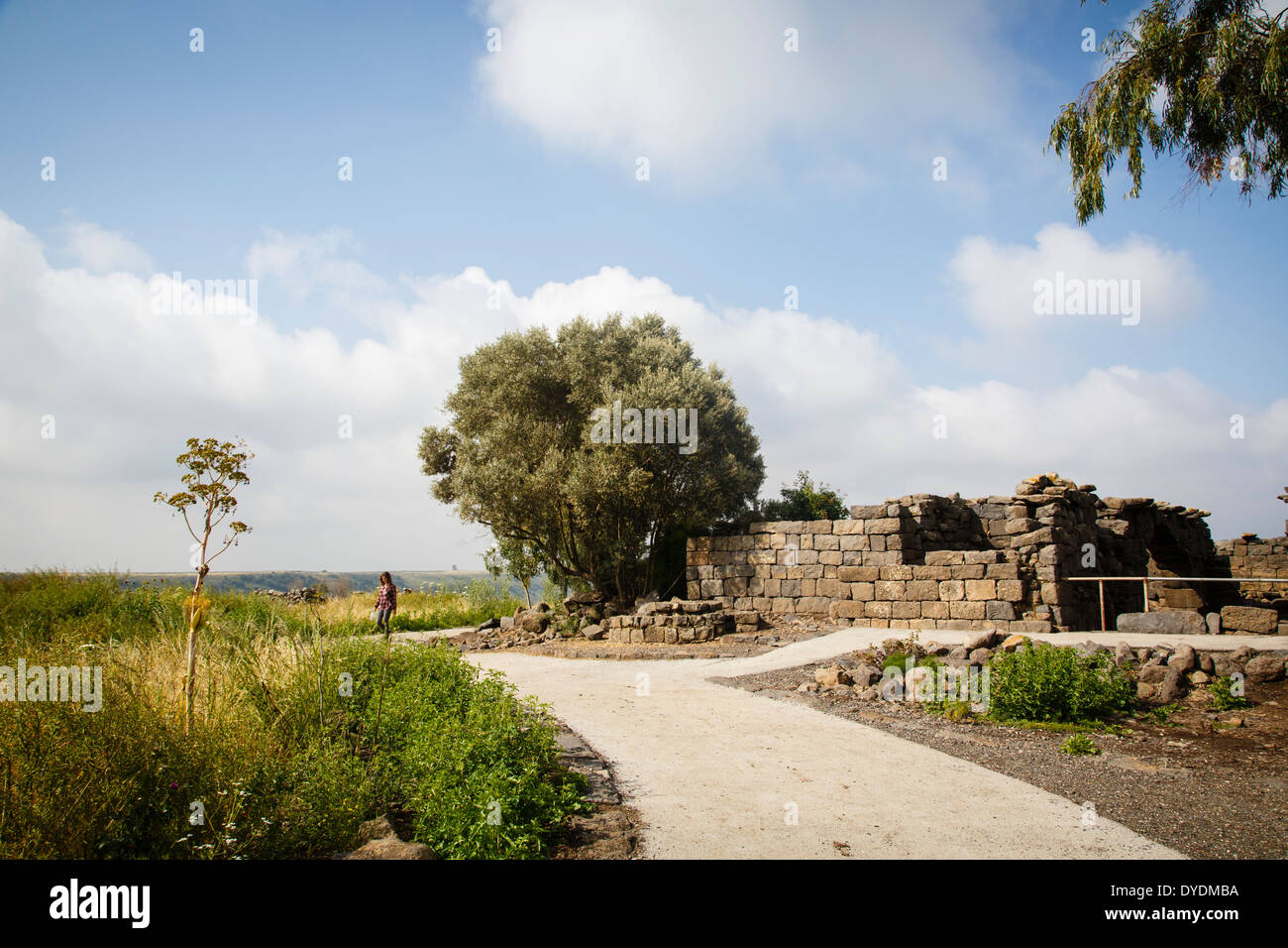 Ruines de l'ancienne ville, Gamla Gamla Nature Reserve, Hauteurs du Golan, Israël. Banque D'Images