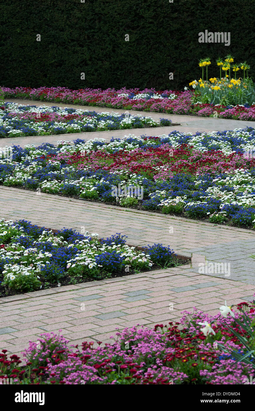 Les plantes à massifs colorés dans un jardin à RHS Wisley Gardens, Surrey, Angleterre Banque D'Images