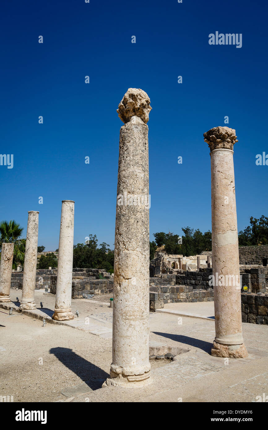 Ruines de l'Roman-Byzantine ville Scythopolis, tel le parc national de Beit Shean, Beit Shean, Israël. Banque D'Images