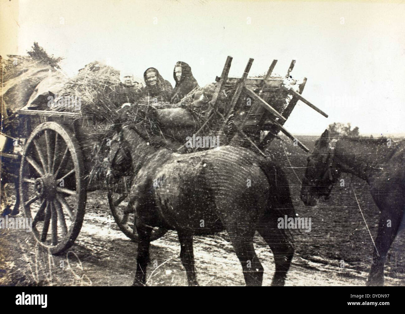 Une autre photo de James Faye pendant son service dans la première Guerre mondiale, montrant son rôle de pilote dans le théâtre français. Ses contributions au combat aérien ont été déterminantes au début de la guerre. Banque D'Images