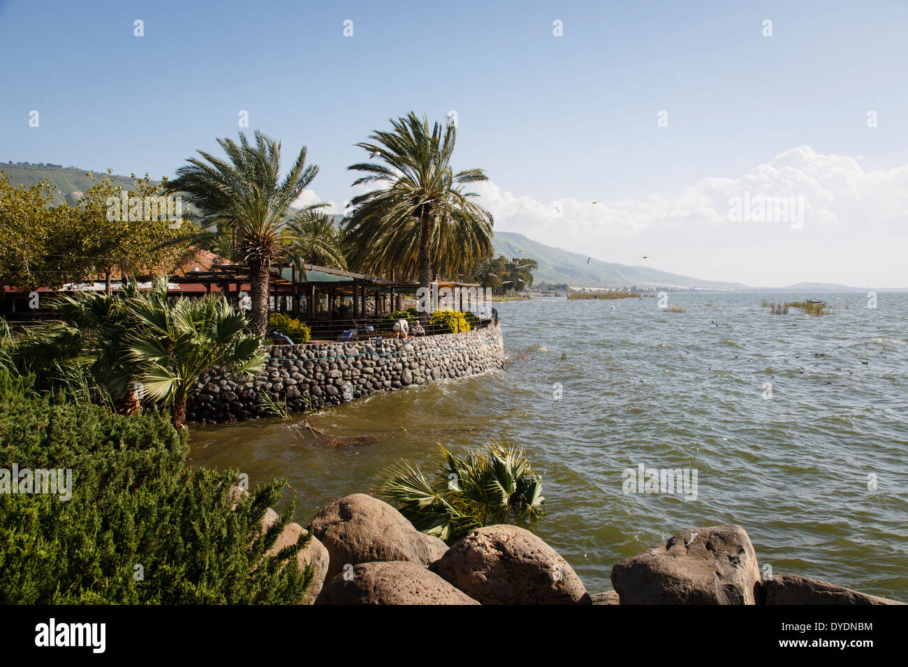 Vue sur la mer de Galilée - Le lac de Tibériade, Israël. Banque D'Images