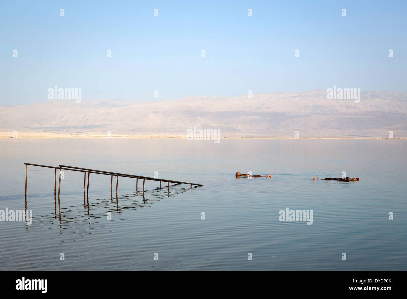 Personnes flottant à la mer Morte, en Israël. Banque D'Images