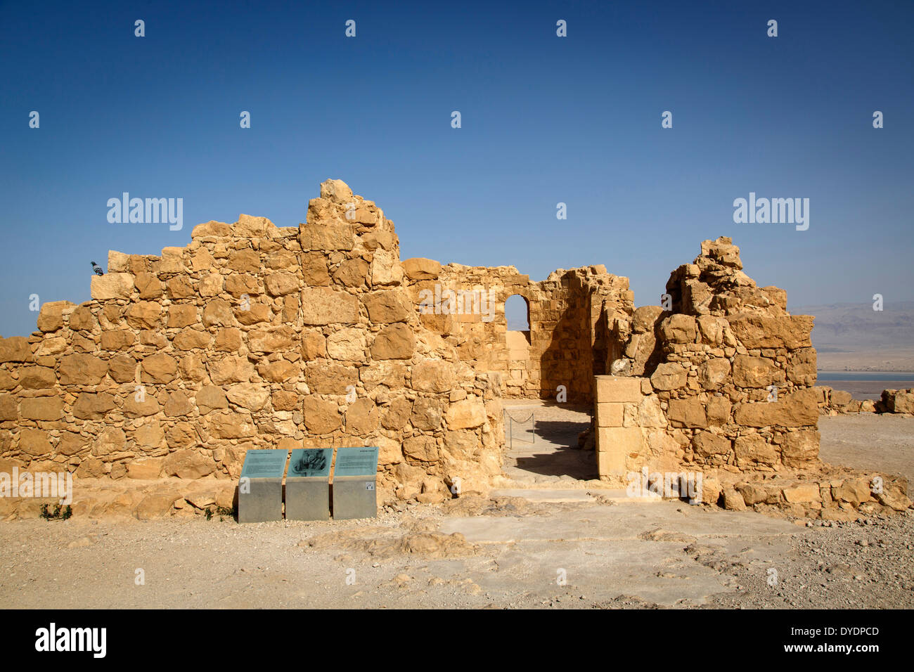 La forteresse de Massada au bord de le désert de Judée, en Israël. Banque D'Images