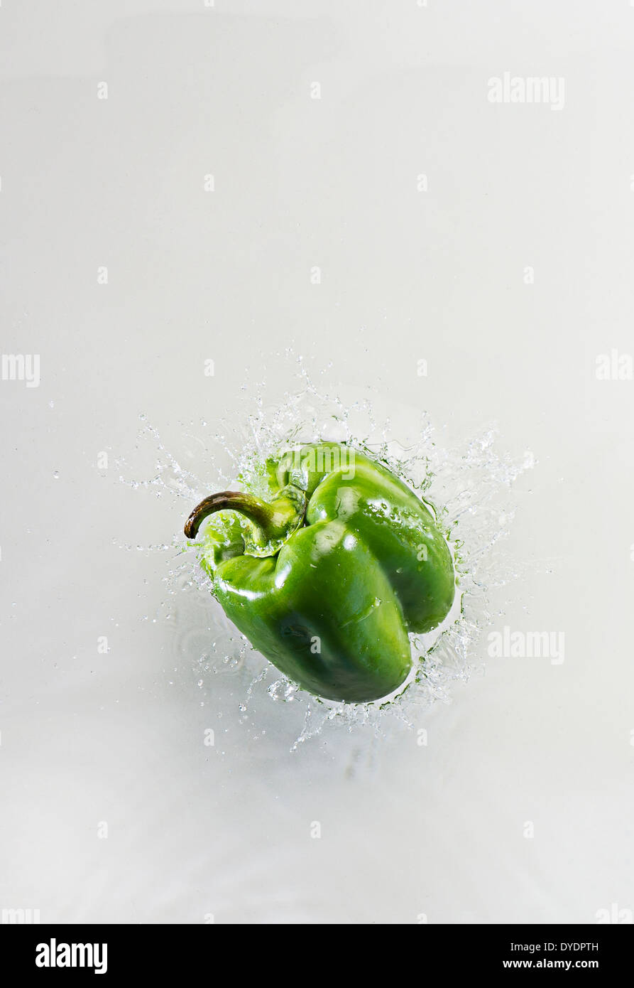 Poivron vert Splashing in Water, Fond blanc Banque D'Images