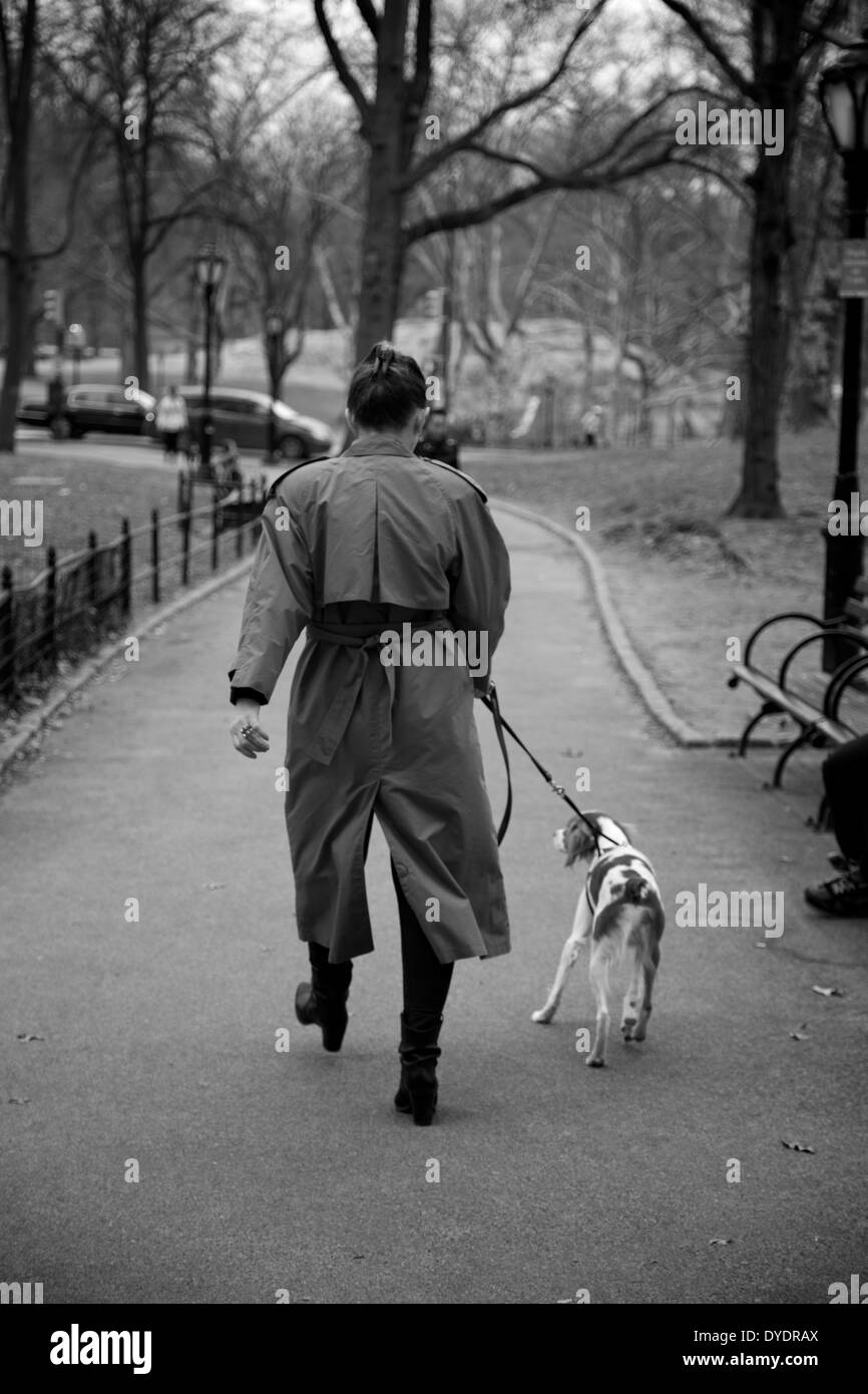 Un chien walker dans Central Park, New York Banque D'Images