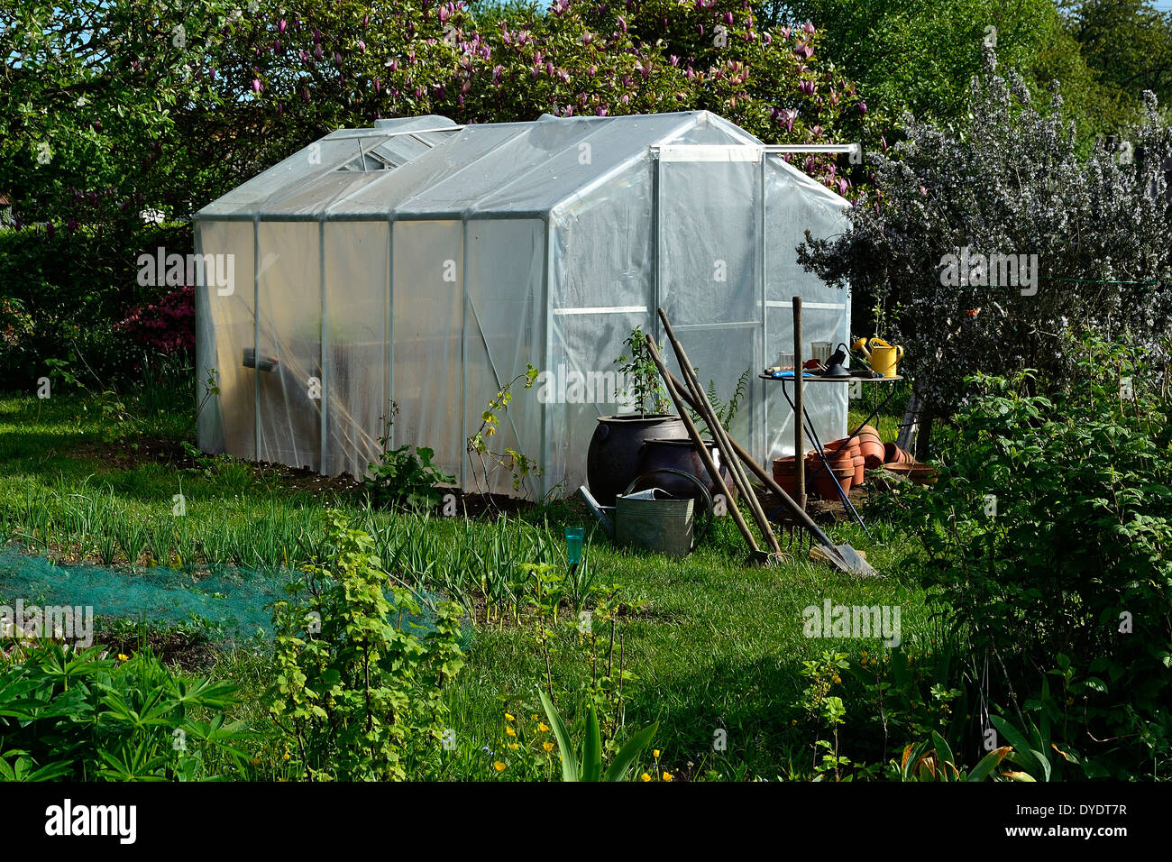 Little green house (structure métallique avec un film plastique) en jardin potager. Banque D'Images