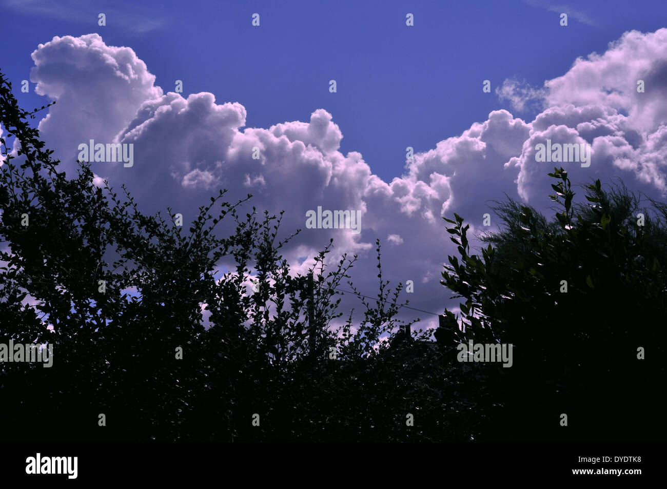 Les nuages vues plus de limite de jardin Banque D'Images