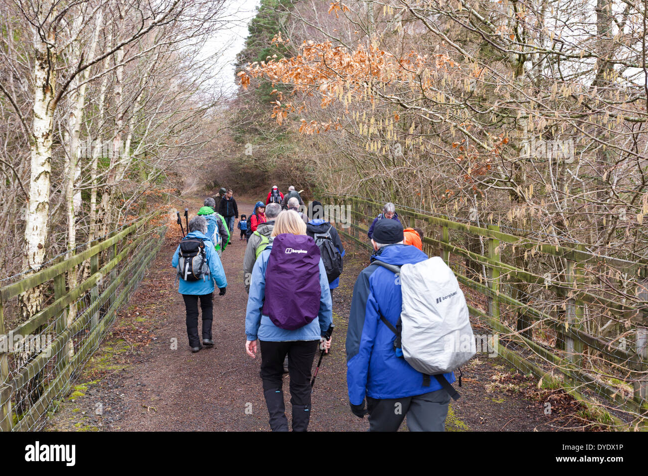 Les marcheurs au début du printemps sur le viaduc à pied dans le Northumberland Lambley UK Banque D'Images