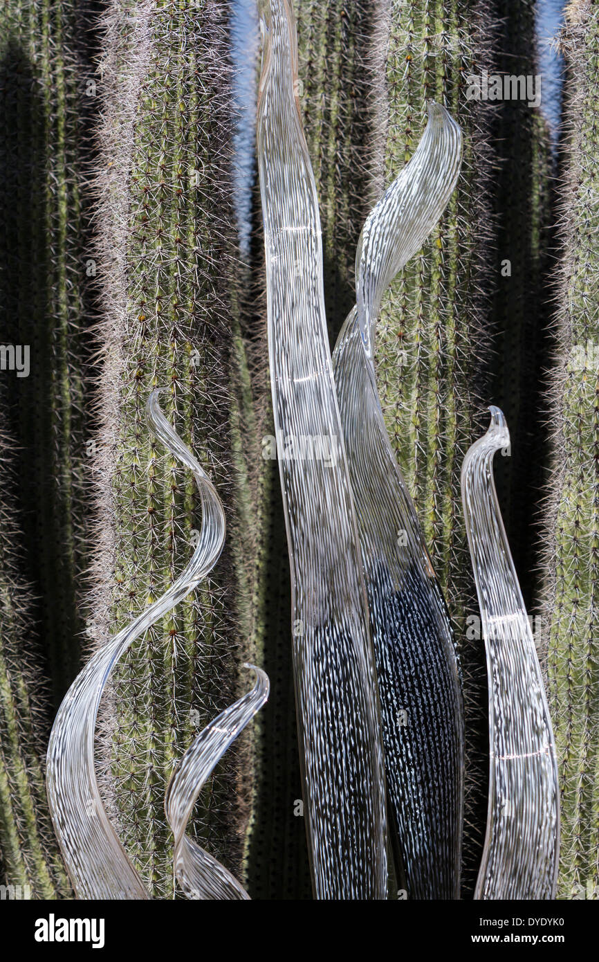 Sculpture en verre et cactus, Desert Botanical Gardens, Phoenix, Arizona, USA Banque D'Images