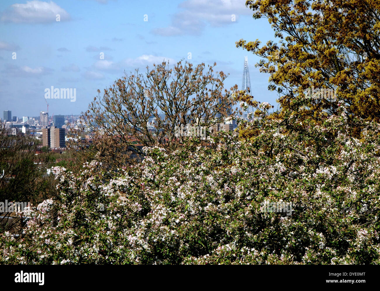 Vue nord de haut de Telegraph Hill dans le sud de Londres avec le tesson à distance Banque D'Images