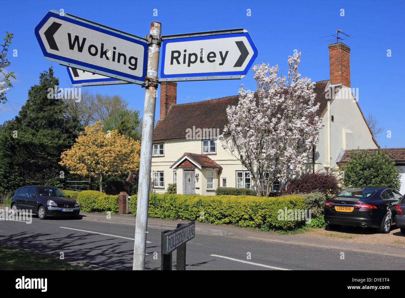 Ripley, Surrey England UK Banque D'Images