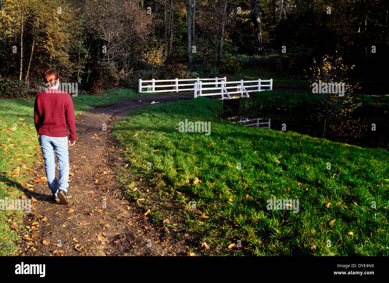 Marcher vers le pont, les eaux de la Virginie, Surrey, Angleterre Banque D'Images