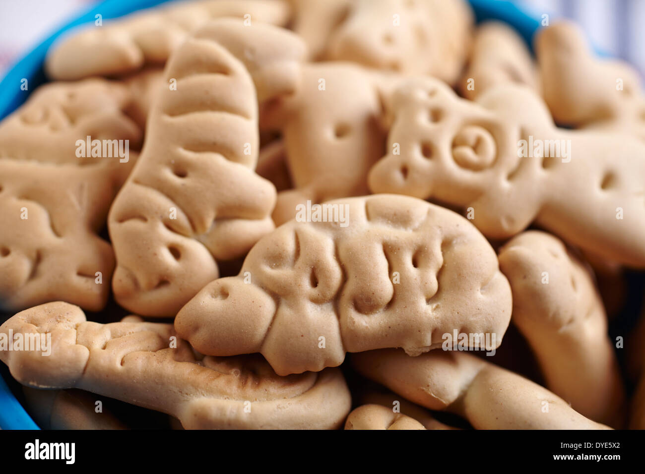 Bêtes à craquer Banque D'Images