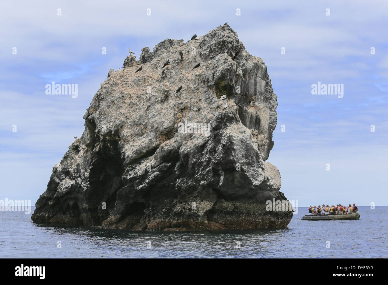 Les touristes dans un bateau gonflable voir les oiseaux nichant sur un îlot rocheux (peint) de l'île au large de l'île de Santiago, îles Galapagos. Banque D'Images