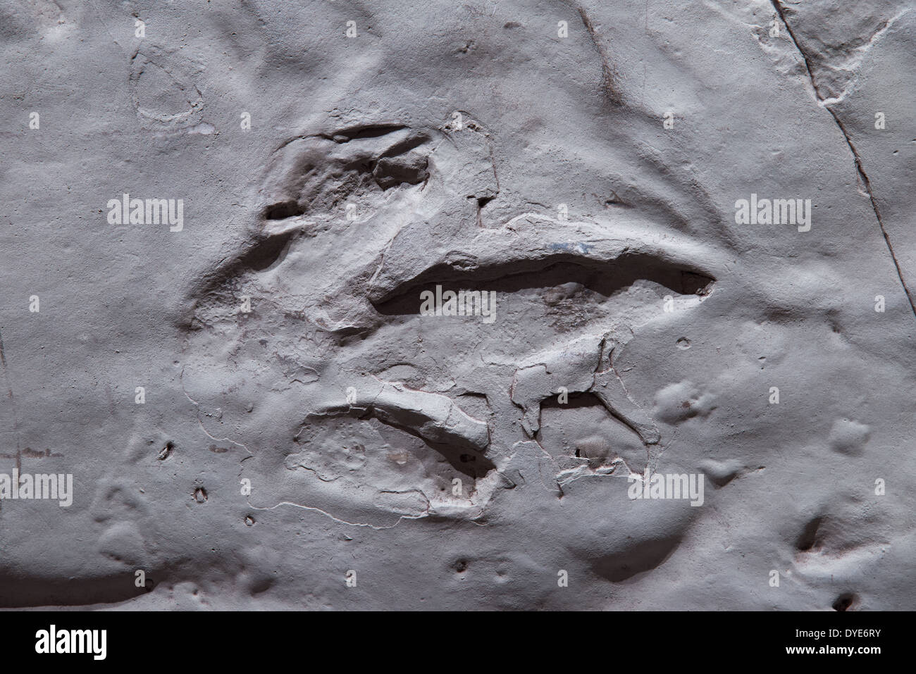 Empreinte de dinosaure dans une gauche de boue-rock. Banque D'Images