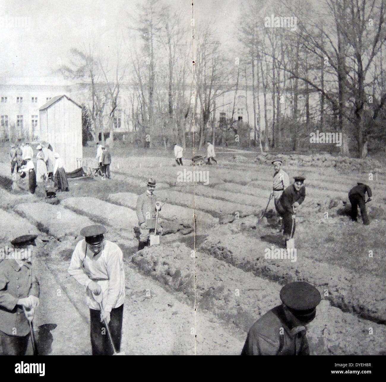 La Seconde Guerre mondiale 1 - En mai 1917, la deuxième de son internement, Nicolas II, d'occuper son oisiveté douloureux avait entrepris avec ses enfants et sa compagne dans une soupe jardin pelouse du parc. Banque D'Images