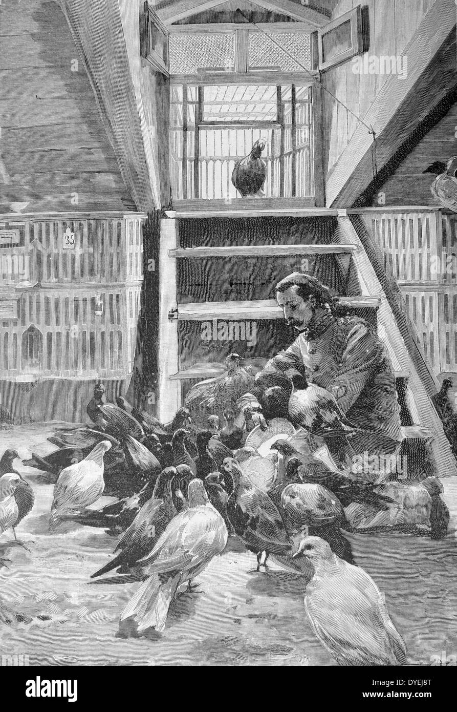 Pigeonnier militaire français. Il y avait dix de ces lofts à Paris, chaque envoi et réception de messages provenant de différentes directions. La gravure, Paris, 1892. Banque D'Images Pigeonnier militaire français. Il y avait dix de ces lofts à Paris, chaque envoi et réception de messages provenant de différentes directions. La gravure, Paris, 1892. Banque D'Images