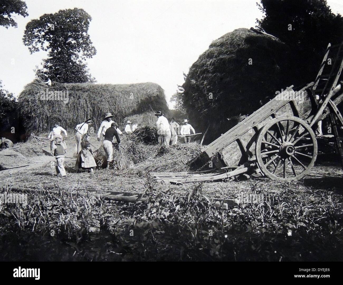 Temps de récolte dans la campagne française . Peasantsload la récolte sur un chariot. Le travail des enfants est considéré ainsi que les hommes et les femmes qui exécutent un travail manuel. Vers 1900 Banque D'Images