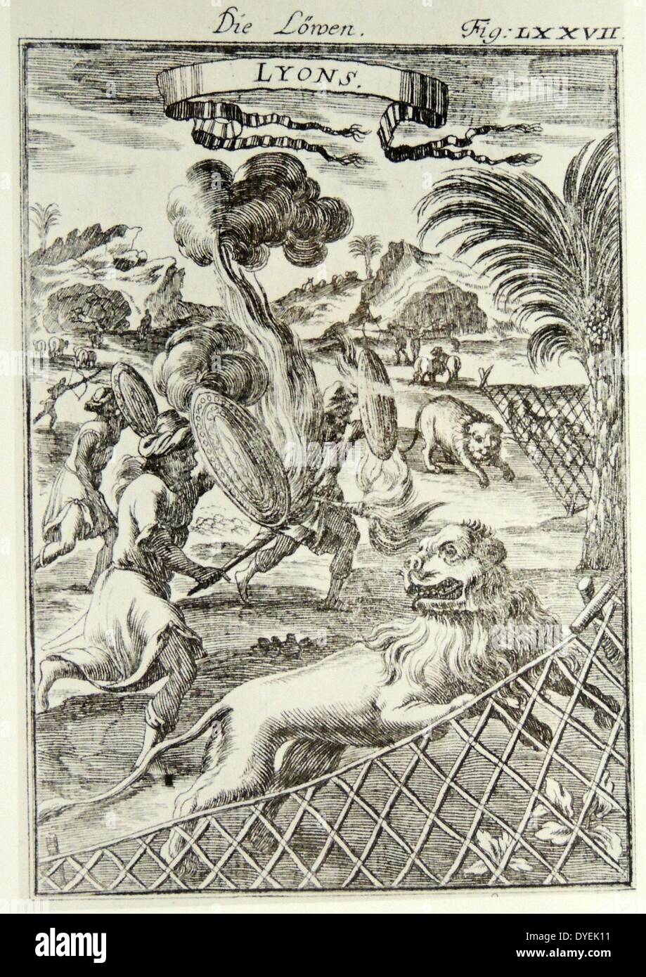 Seltener Stich 'Die Löwen' Lyons publié par Alain Manesson 1686 Mallet-Frankfurt. 17ème siècle Illustration d'animaux d'Afrique Banque D'Images