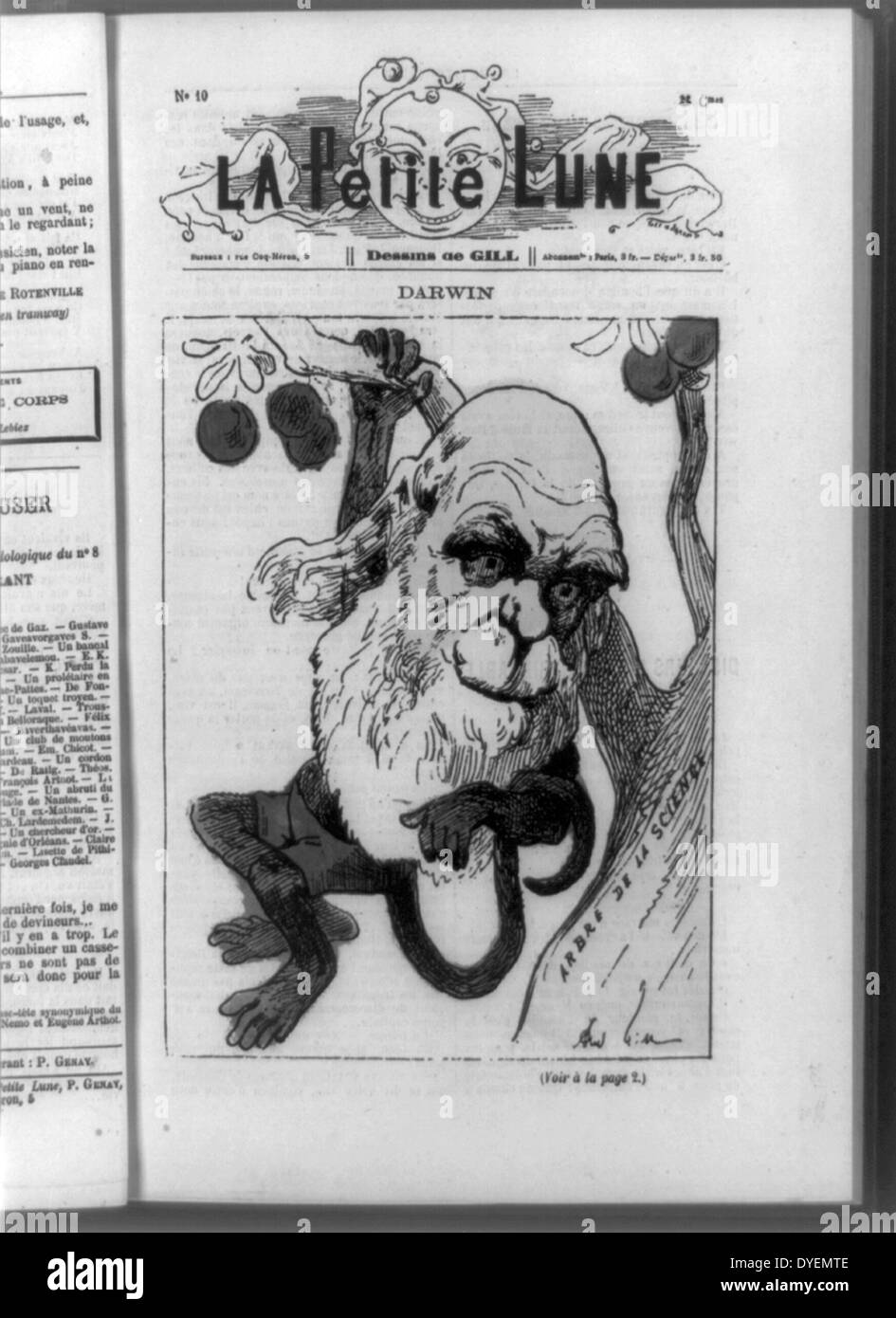 Imprimer en relief metal cut avec pochoir. Caricature montrant le naturaliste anglais Charles Darwin comme un singe suspendu à arbre de Science. Une réponse à la 1871 publication de son livre la descente de l'homme Banque D'Images