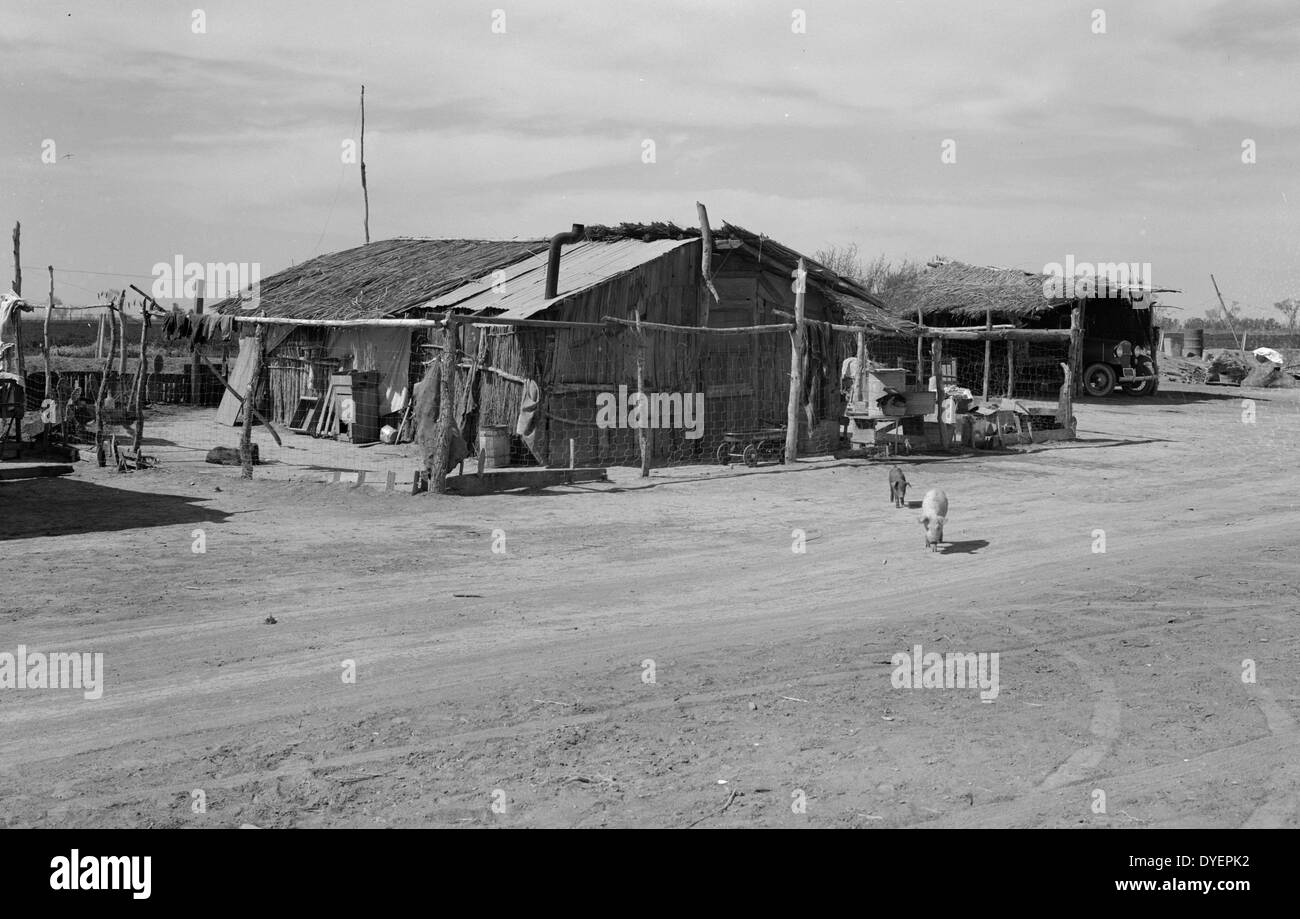 Logement typique de celle que les travailleurs sur le terrain de la Mexicaine Imperial Valley. Ces personnes ne sont pas les migrants, mais vivre sur le bord de l'élevage et de travail dans les pois et les melons par Dorothea Lange 1895-1965, en date du 19380101 Banque D'Images