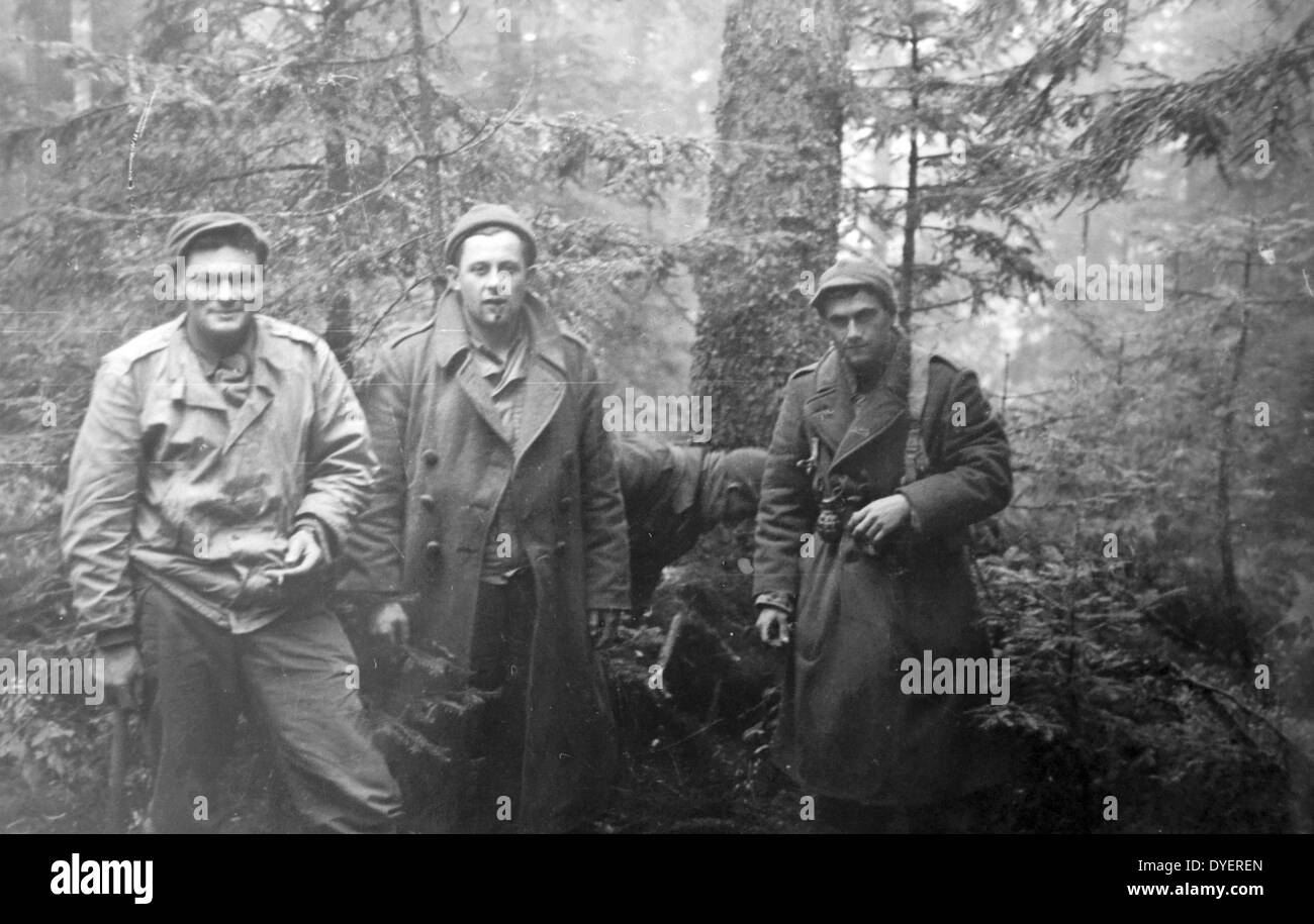 Seconde guerre mondiale : fantassins français dans la forêt des Vosges 1944 Banque D'Images