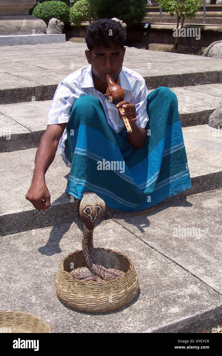 Charmeur de serpent--flûte jouer avec cobra dans panier. Colombo, Sri Lanka, 2006. Banque D'Images