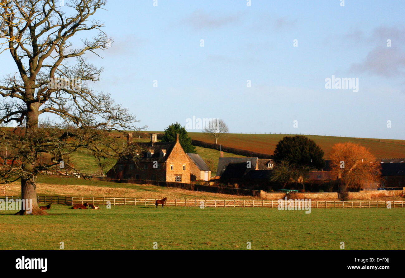 Ferme traditionnelle anglaise dans le comté d'Oxfordshire. Il s'agit d'une journée claire, et les chevaux sont debout dans un champ en face de la chambre. Banque D'Images