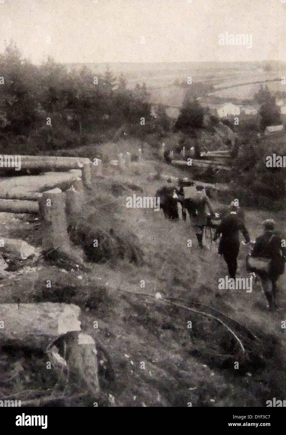 La première guerre mondiale ; les forêts sont coupés pour créer des obstacles sur le chemin de Liège, Belgique pour empêcher l'invasion des forces allemandes. Août 1914 Banque D'Images