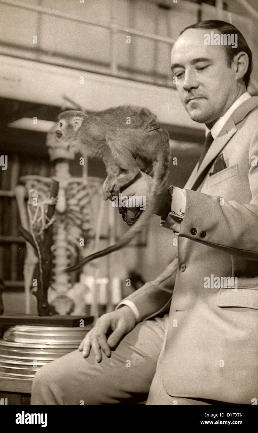 Desmond Morris avec un sud-américain singe écureuil (Saimiri sciureus), pour la série TV de la BBC, La vie dans le monde animal. 1966. Banque D'Images
