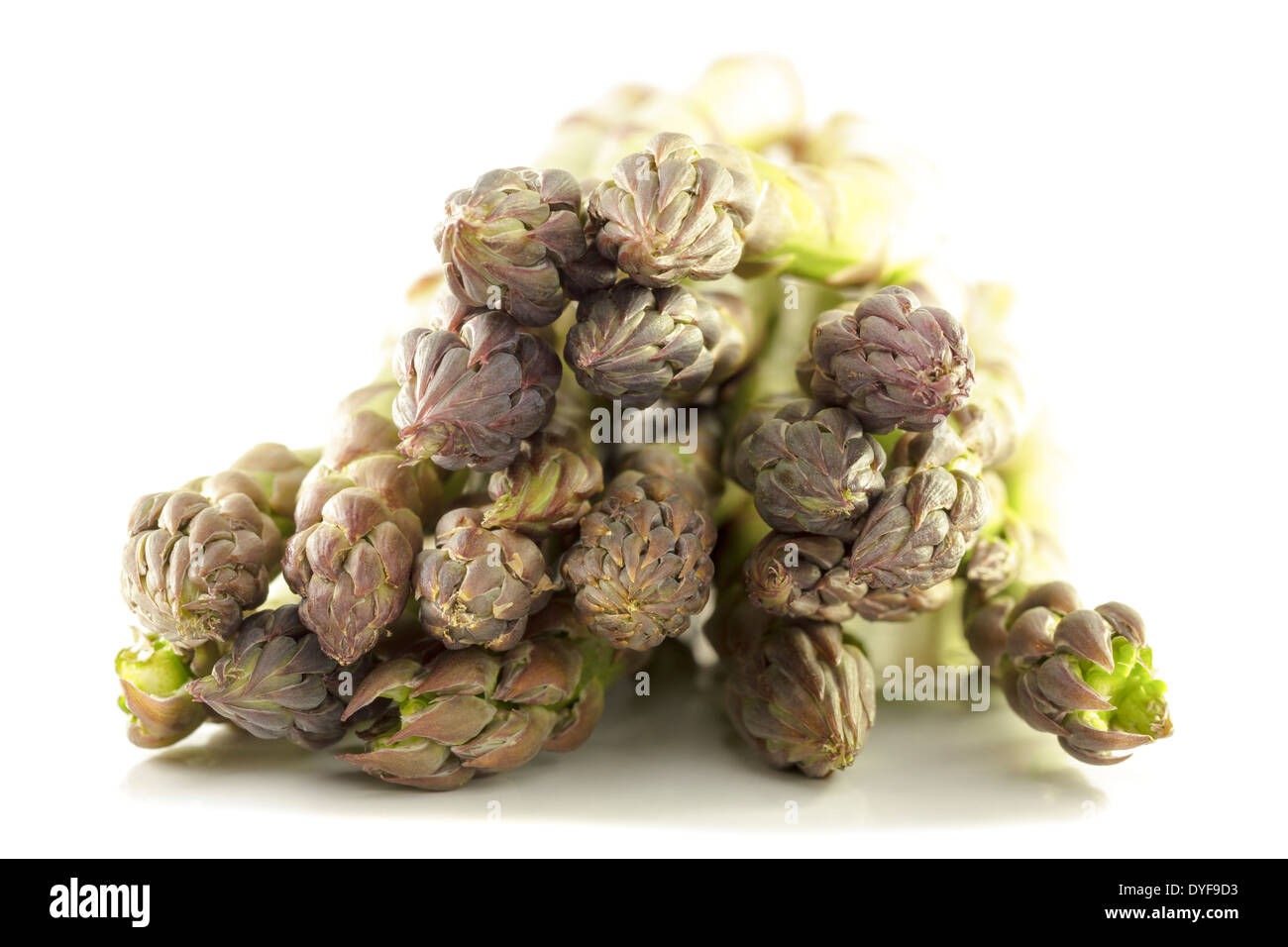 Asperges vertes Banque D'Images