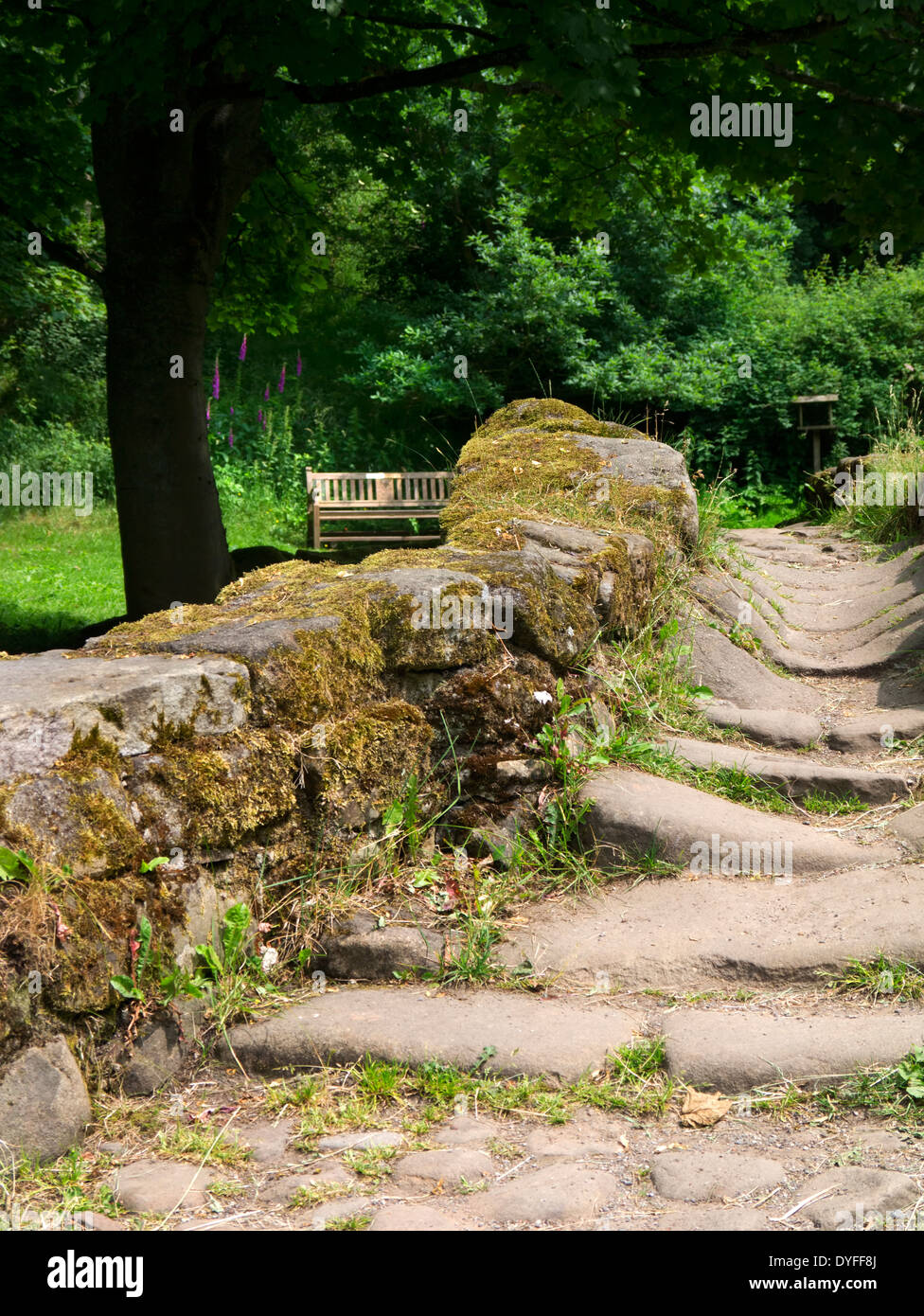 Wycoller village country park Pendle Lancashire England Banque D'Images