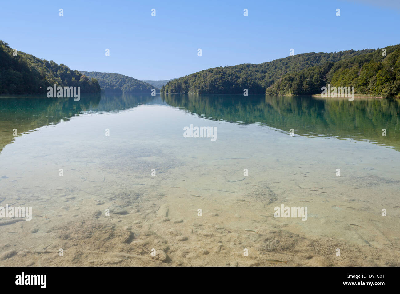 Les eaux cristallines d'un lac dans le parc national des Lacs de Plitvice en Croatie. Banque D'Images