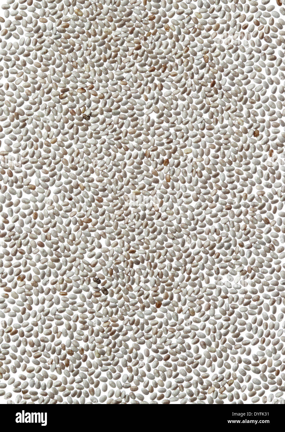 Chia seeds white background Banque D'Images