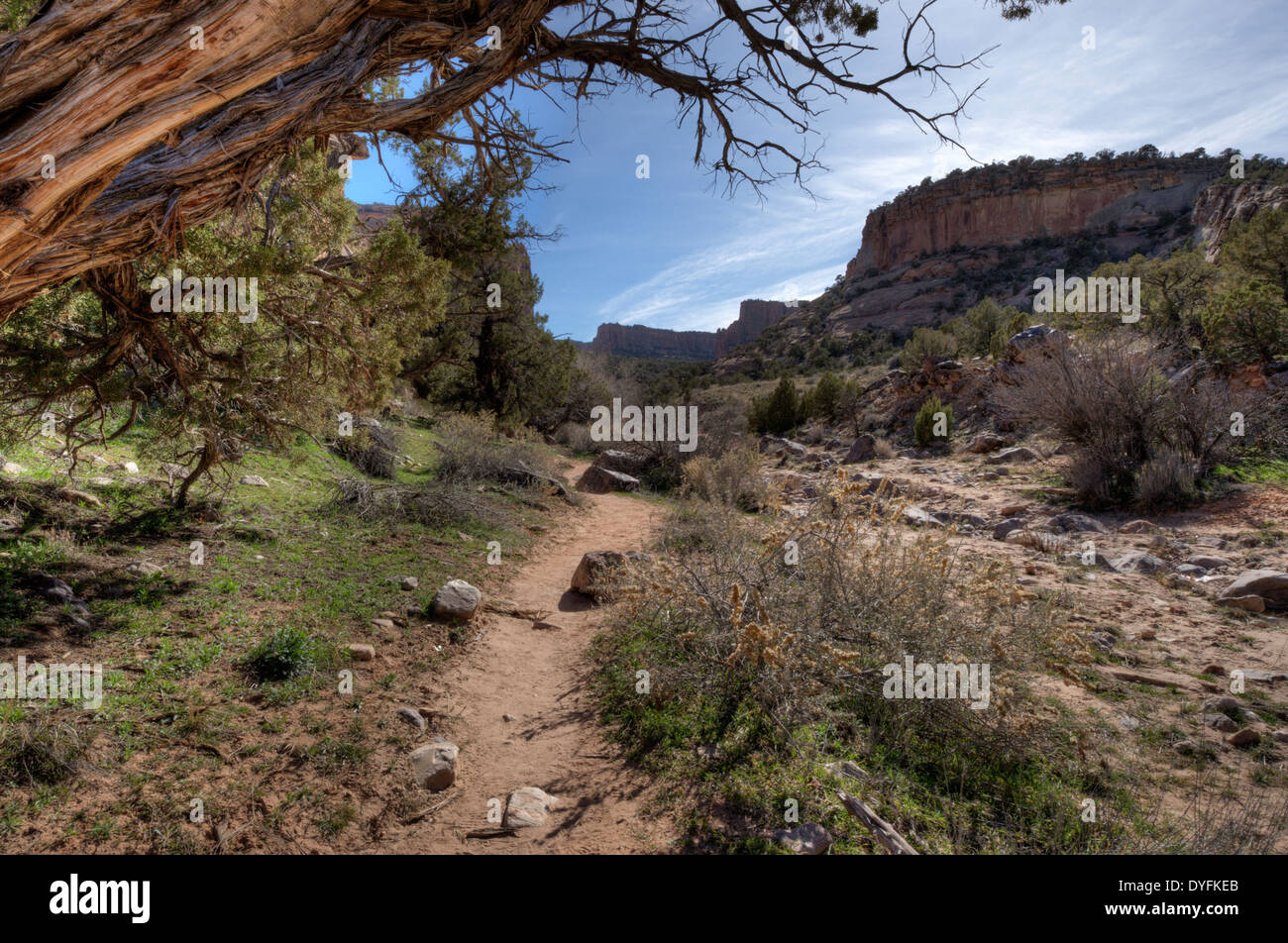 La D3 Trail à Devil's Canyon (arrière-plan), dans le Colorado et l'Utah's Black Ridge Canyons Wilderness Banque D'Images