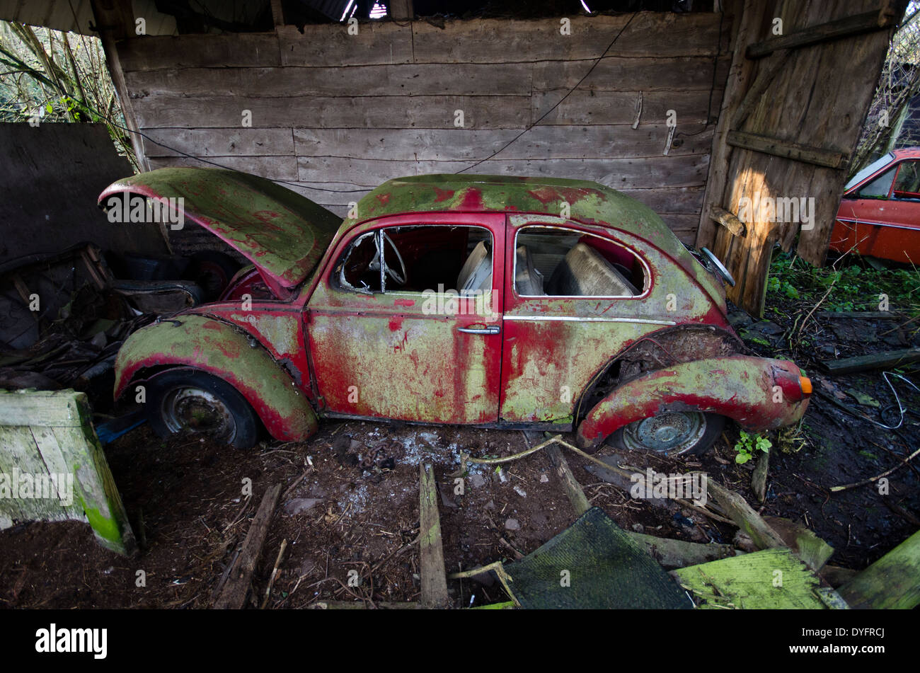 VW Beetle abandonnés Banque D'Images