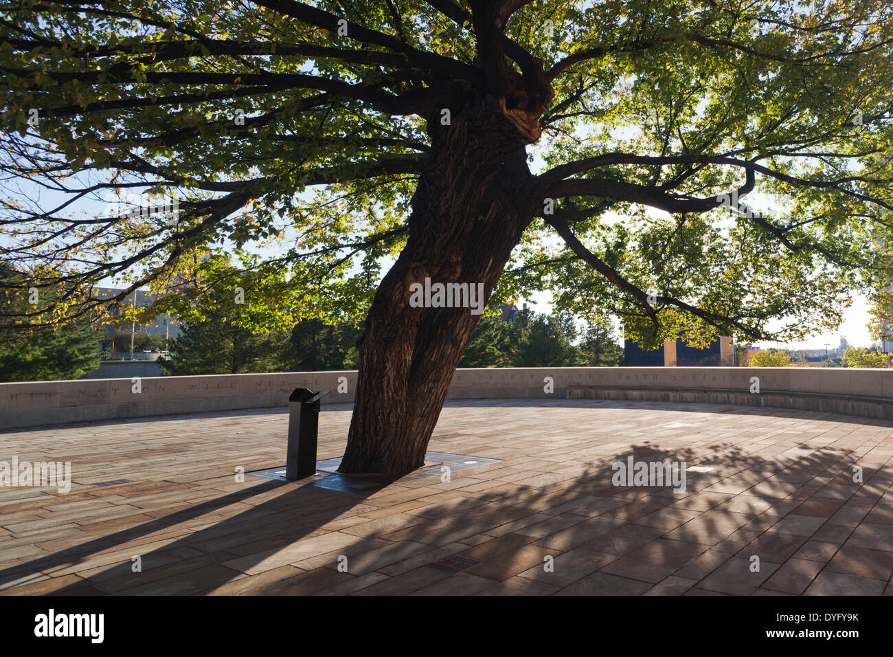 USA, Ohio, Oklahoma City, Oklahoma City National Memorial, arbre isolé qui a survécu à l'explosion Banque D'Images