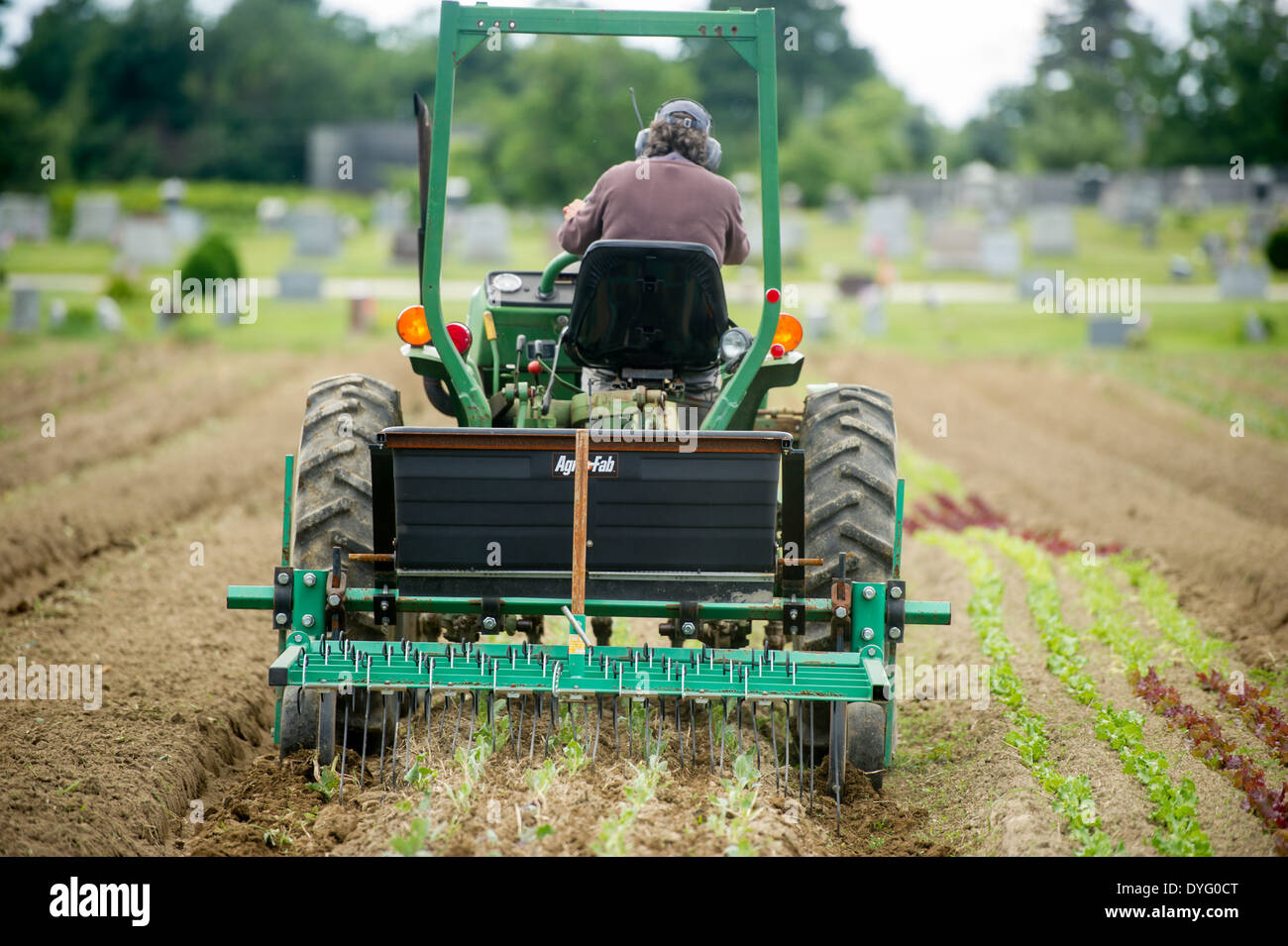 La conduite du tracteur retour voir Freeport, ME Banque D'Images