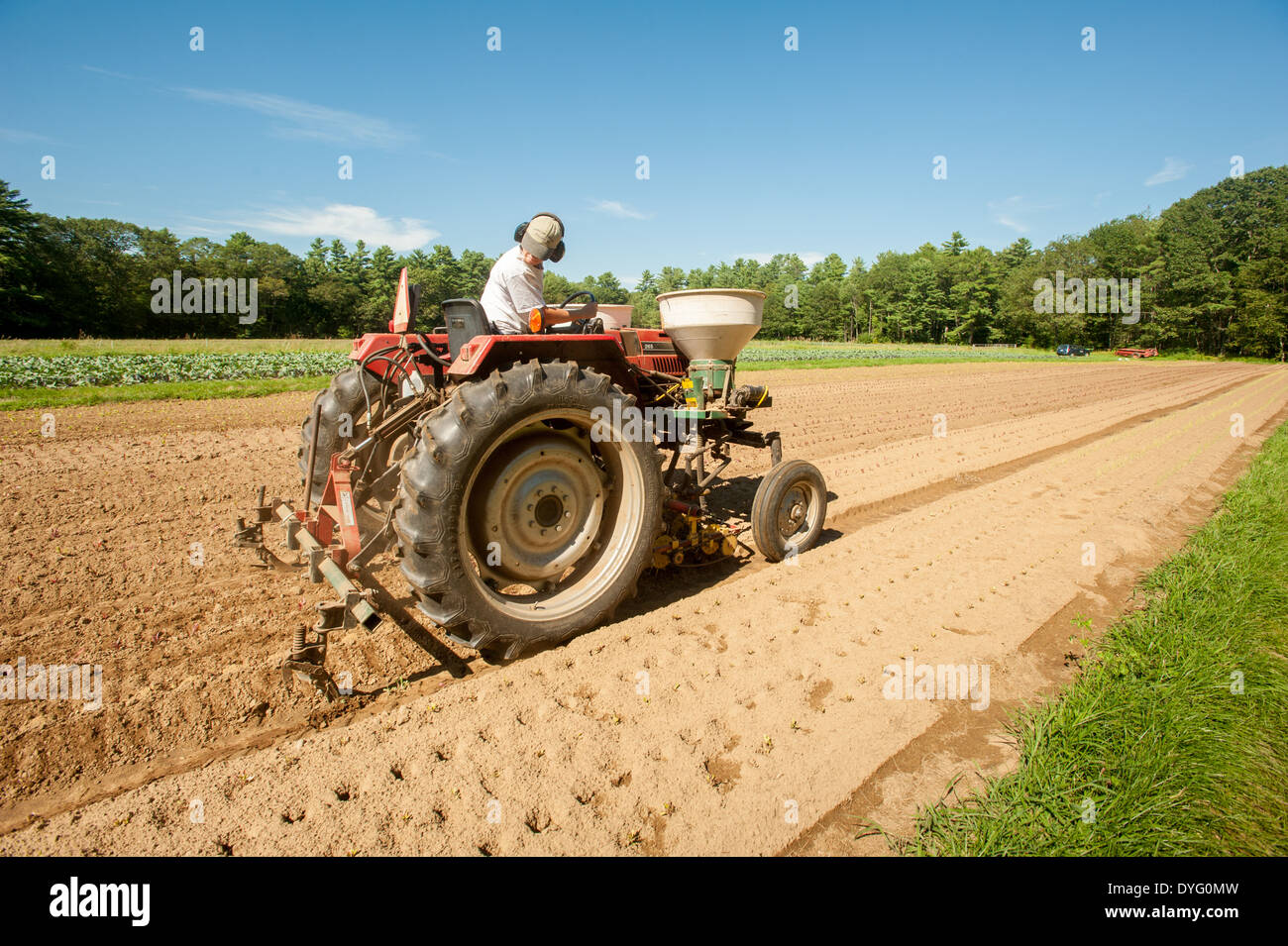 La conduite du tracteur rouge Brunswick, Maine Banque D'Images