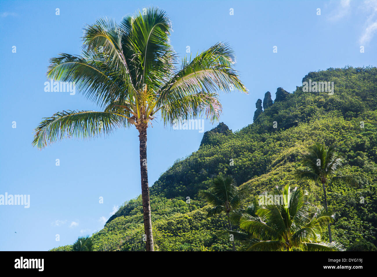 Formations rocheuses dans les montagnes derrière Haena, Kauai, Hawaii Banque D'Images