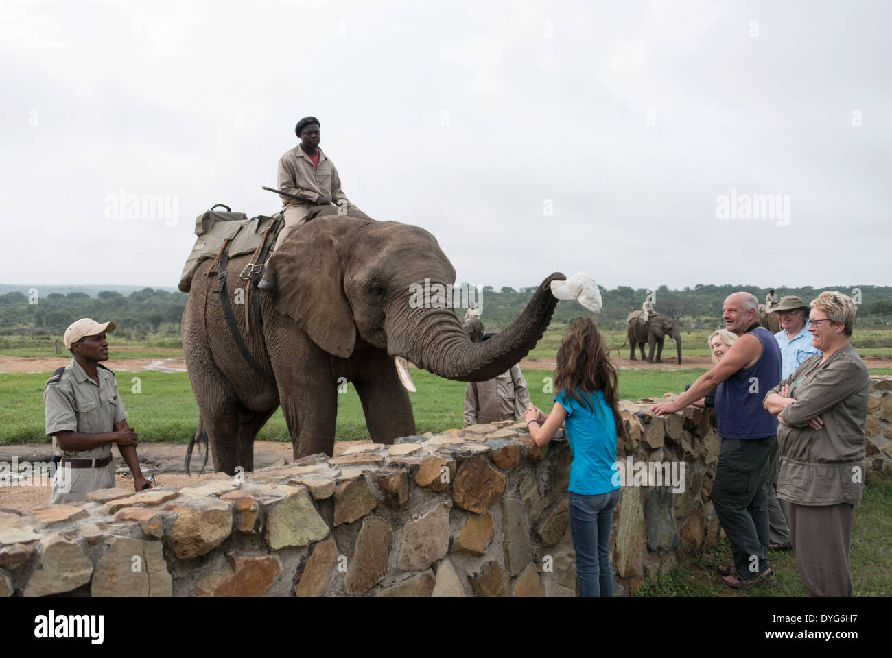 Rangers assis sur l'éléphant les éléphants en arrière et prend la tête des filles de hat Banque D'Images